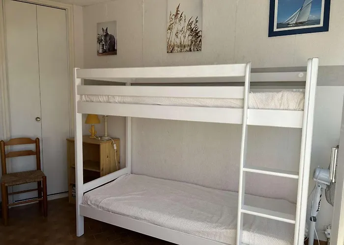 Апартаменты 2 Pieces Avec Climatisation, 2 Terrasses Et Acces Direct Au Port - - Fr-1-250-96 Ле-Гро-дю-Руа