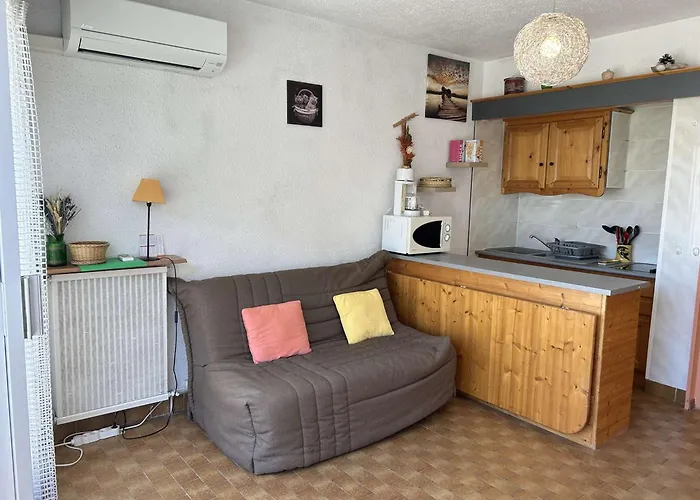 2 Pieces Avec Climatisation, 2 Terrasses Et Acces Direct Au Port - - Fr-1-250-96