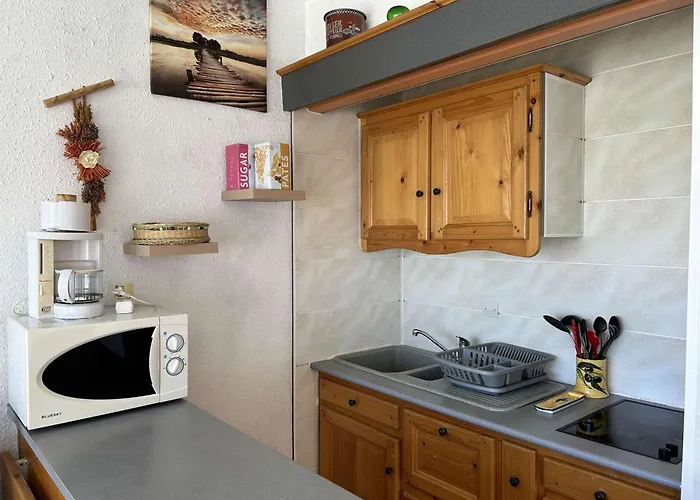 2 Pieces Avec Climatisation, 2 Terrasses Et Acces Direct Au Port - - Fr-1-250-96 *